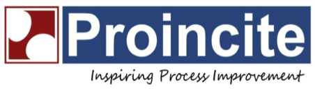 Proincite IT Process Consulting Private Limited